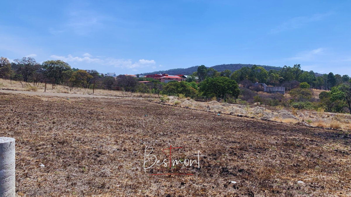 3 de 8: Vista terreno
