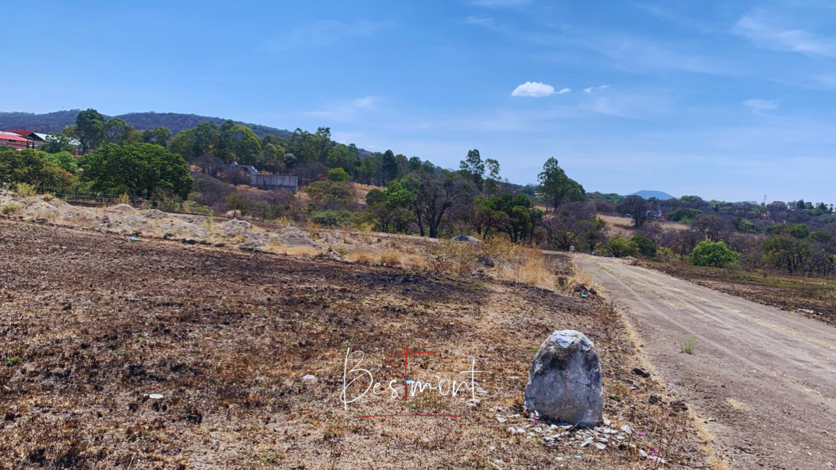 4 de 8: Vista terreno