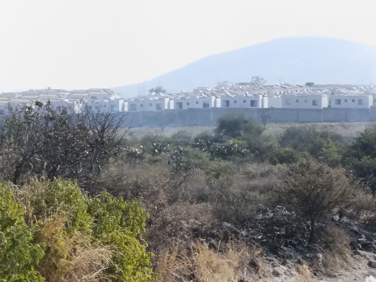 3 de 12