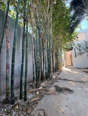 19 de 41