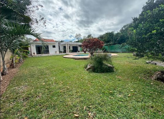 25 de 31
