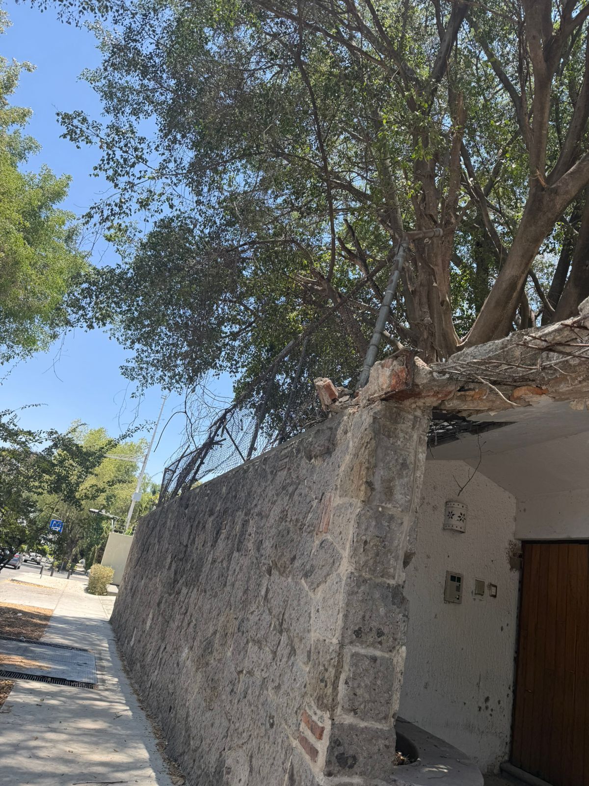 5 de 7