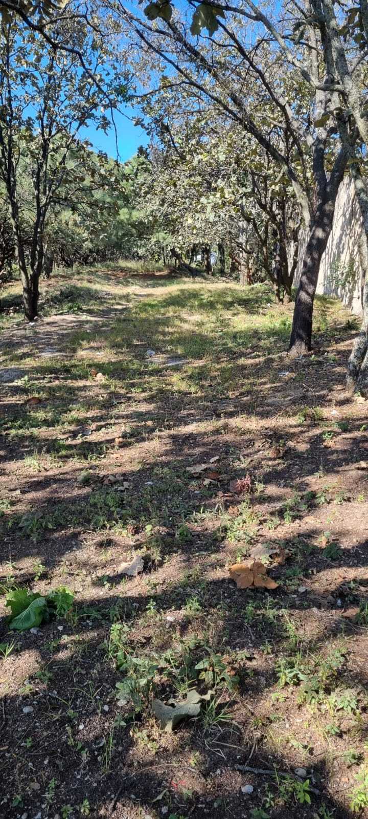 2 de 2