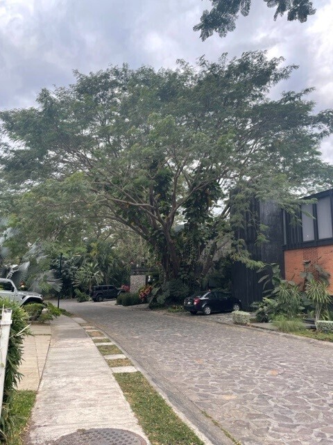 1 de 7