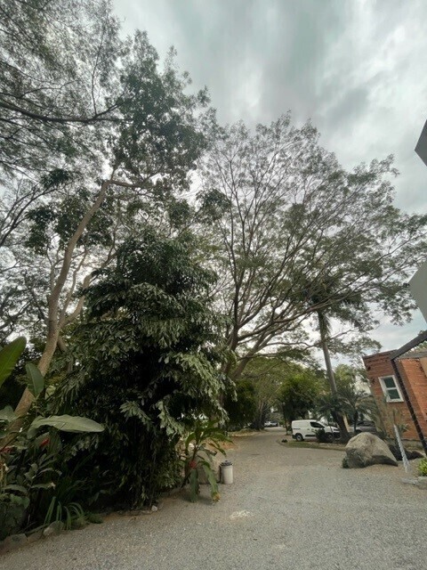 2 de 7