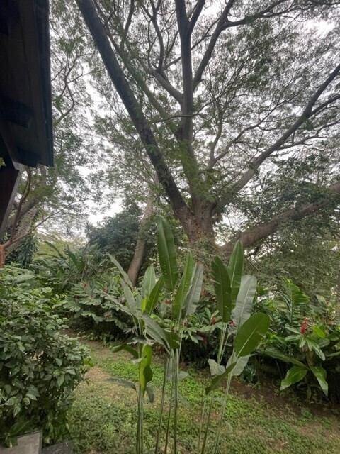 3 de 7