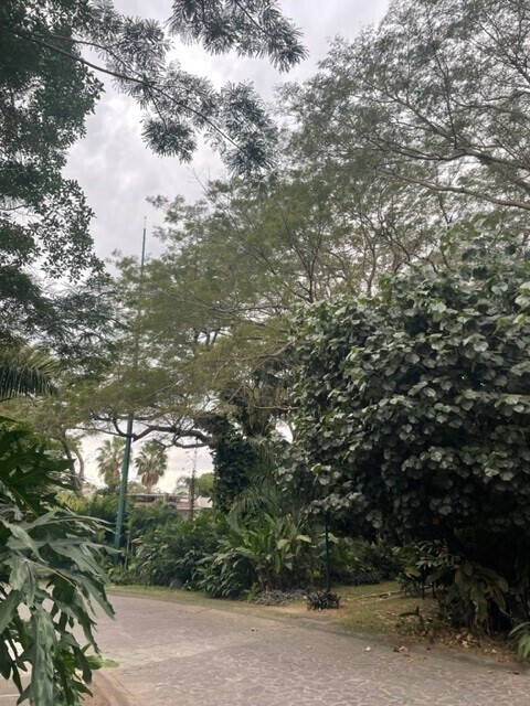 7 de 7