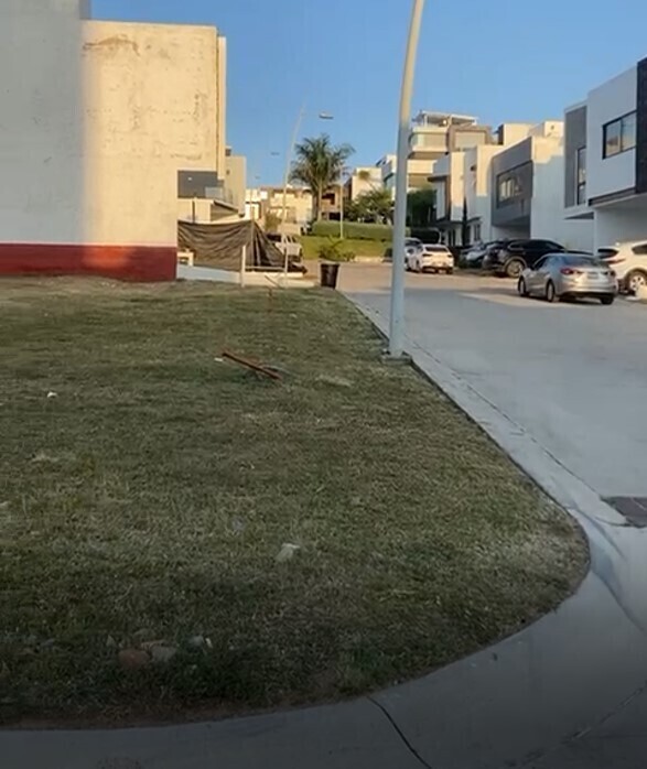 5 de 5