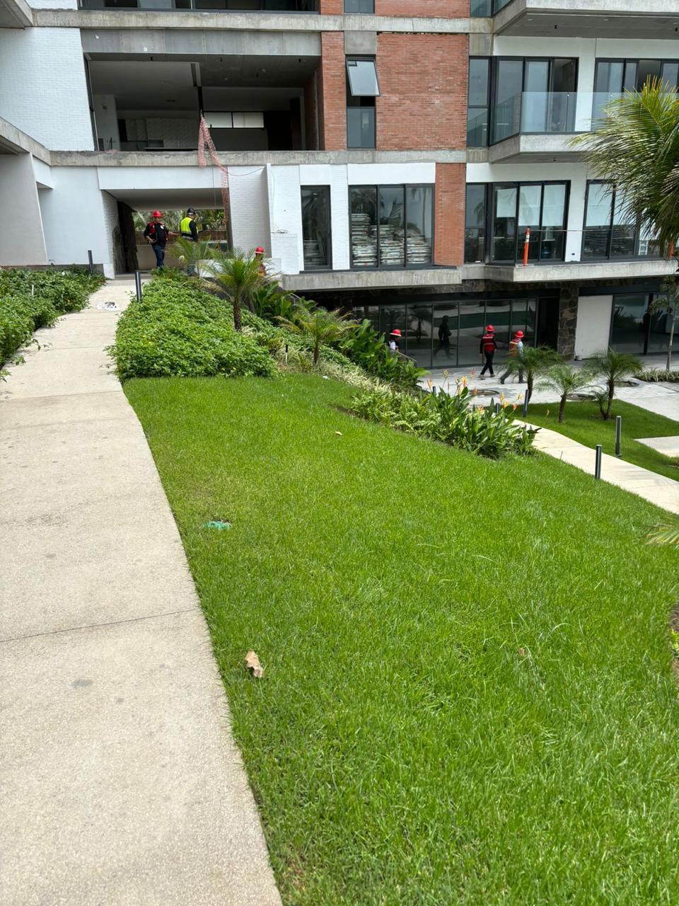 8 de 14