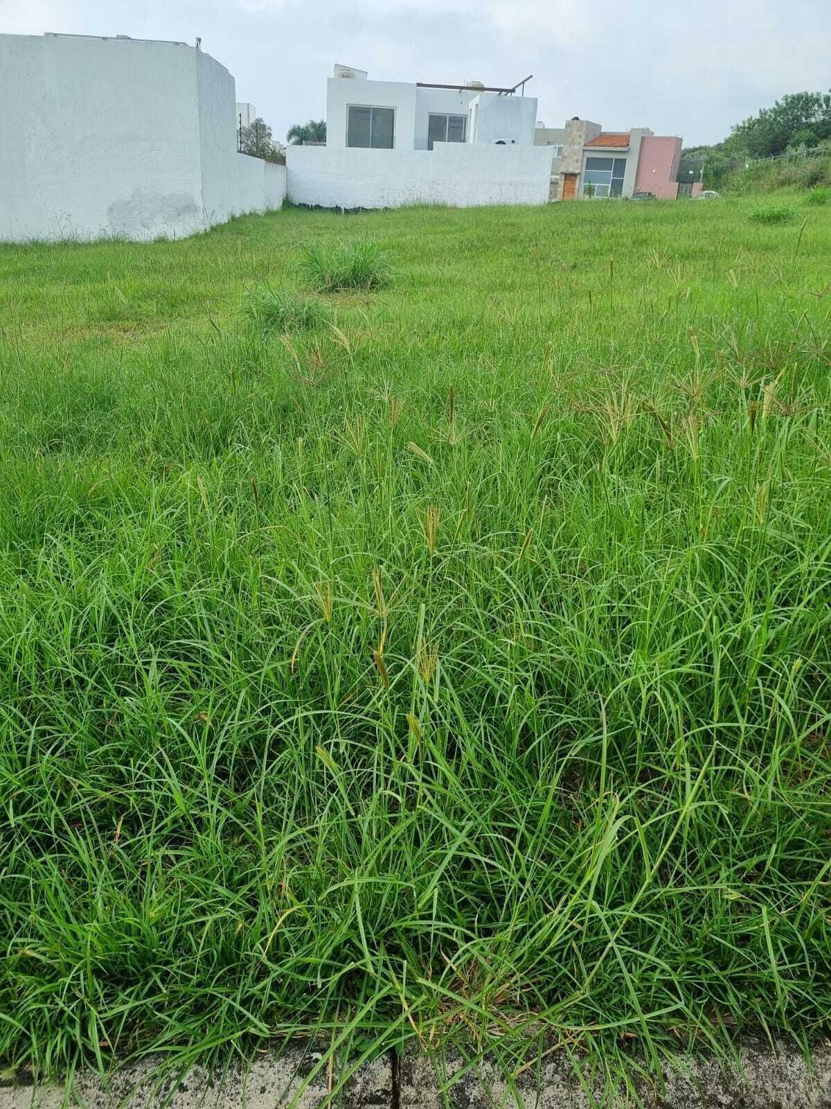 4 de 4