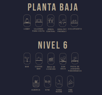 4 de 11