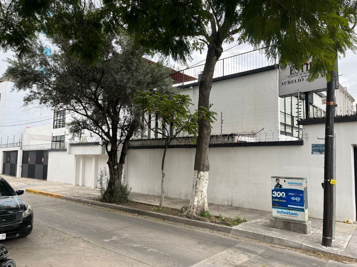 11 de 13