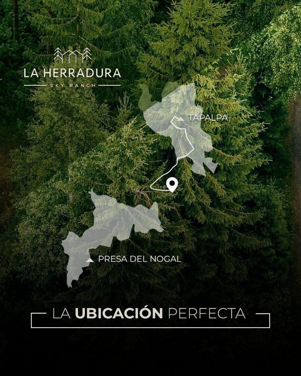 12 de 15
