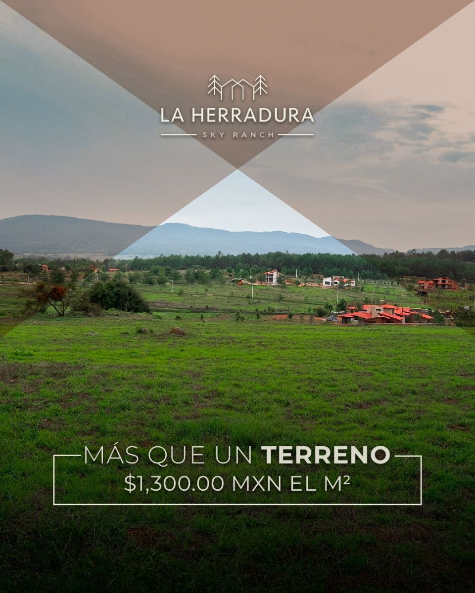 14 de 15