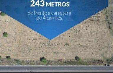 10 de 11