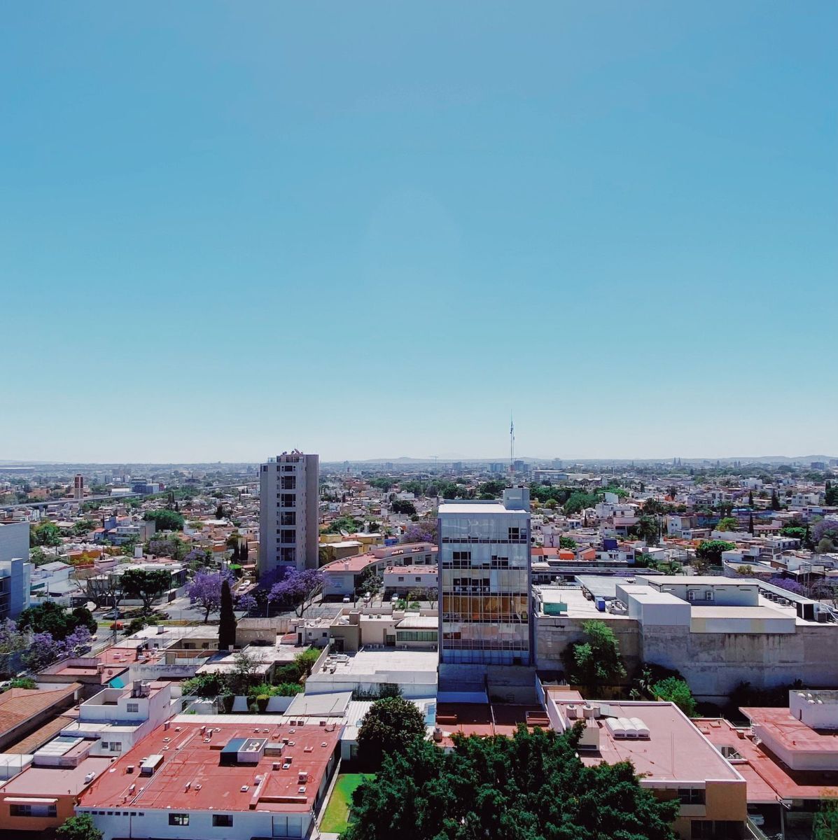 15 de 15