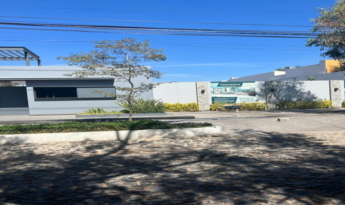 11 de 11