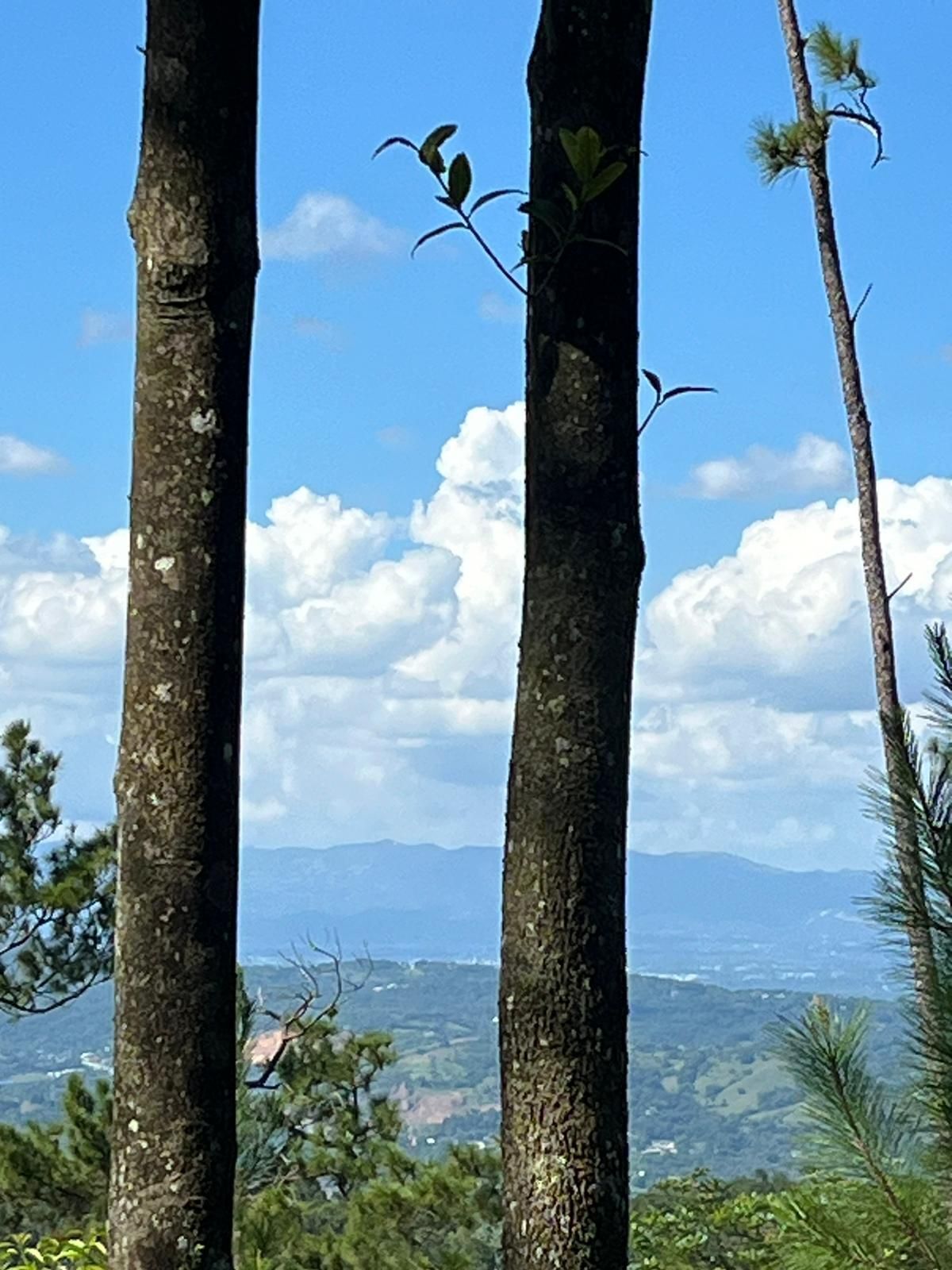 2 de 5