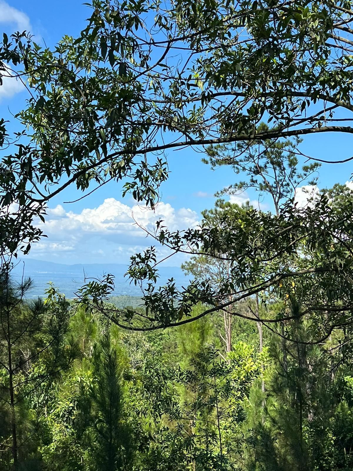 5 de 5