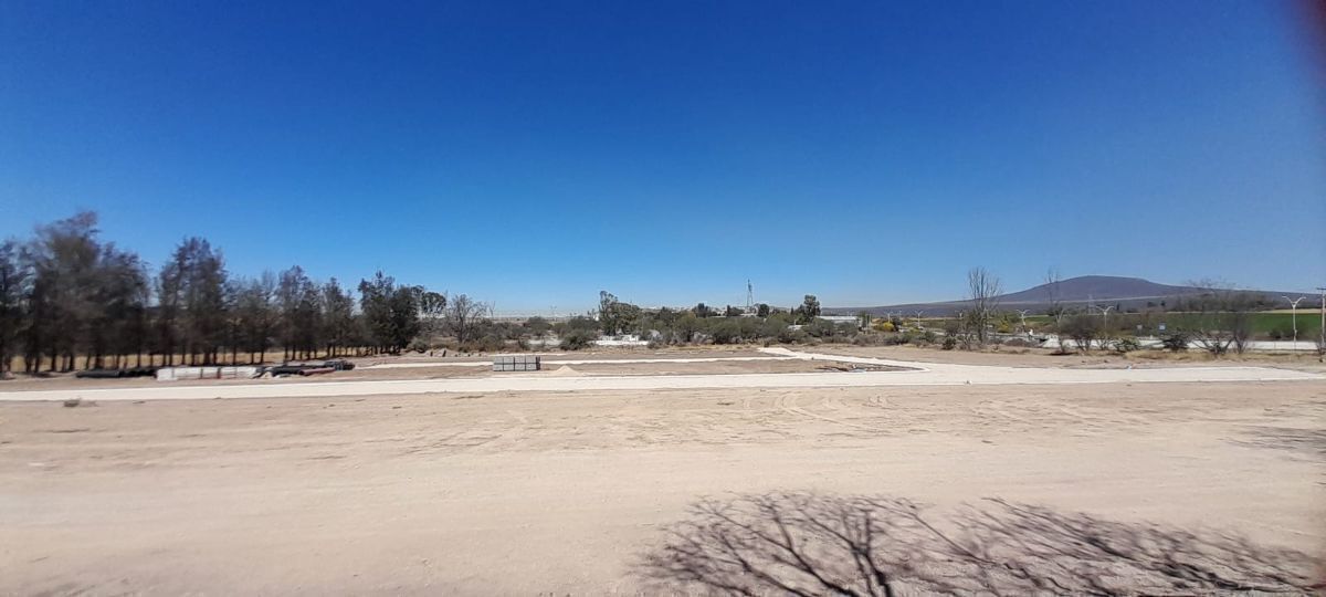 14 de 24