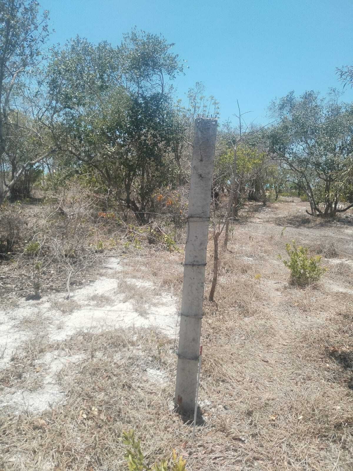 9 de 11