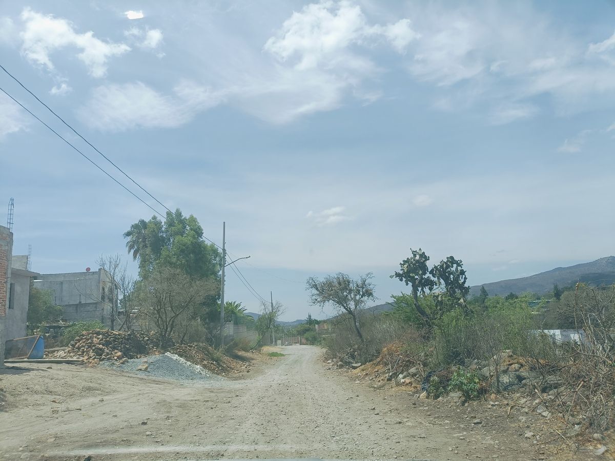 6 de 41