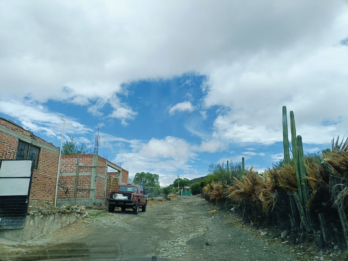 29 de 41