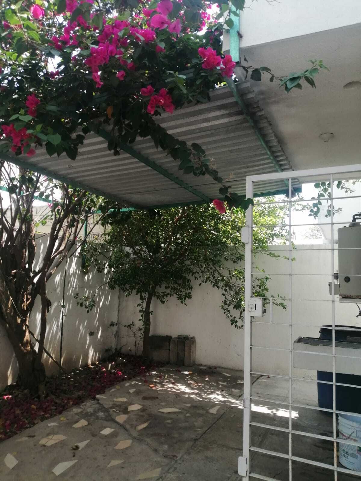 11 de 11