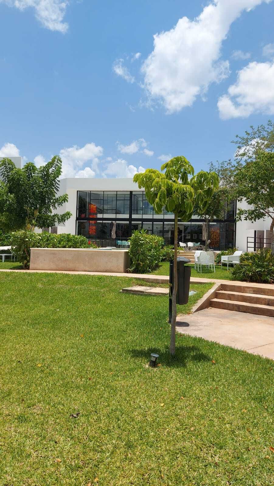 4 de 25