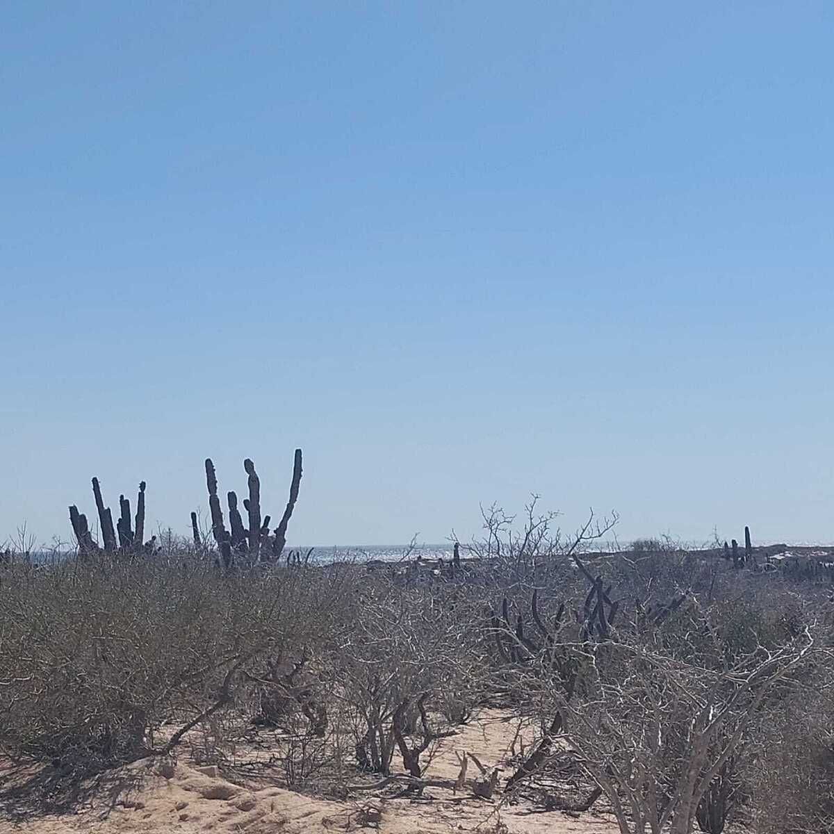 5 de 7