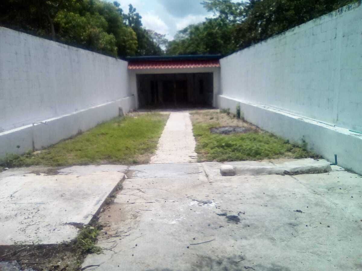 2 de 11