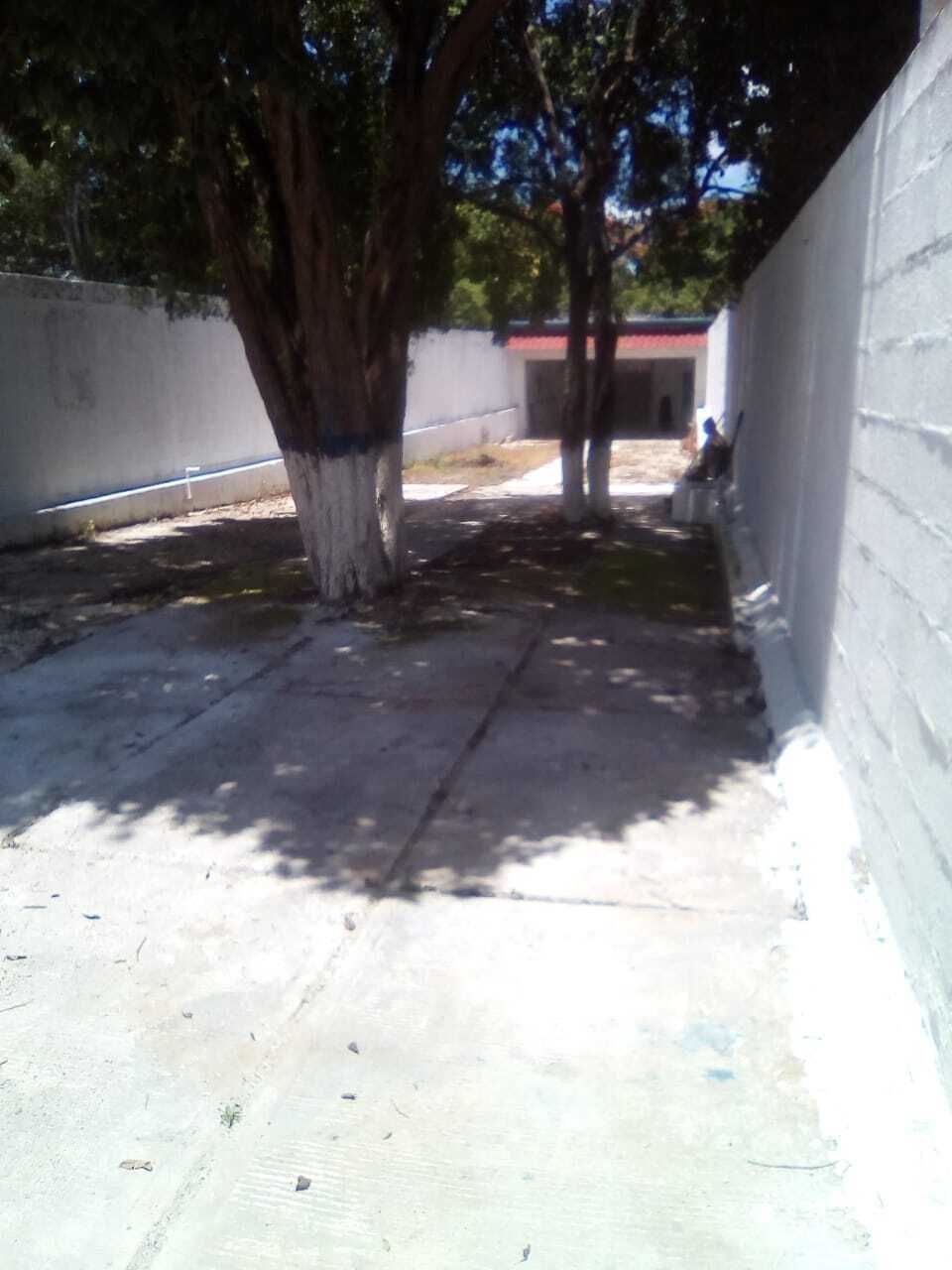 5 de 11