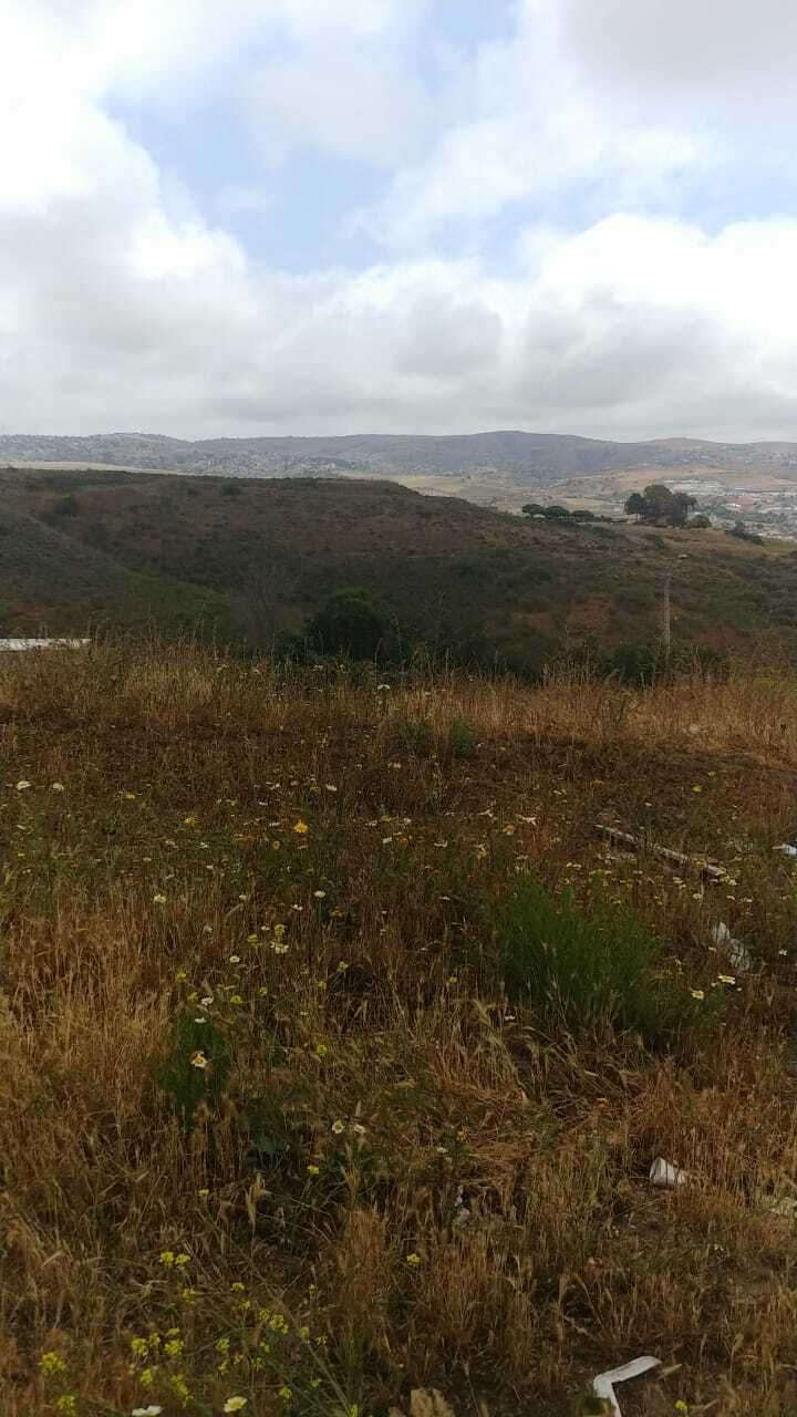 3 de 3
