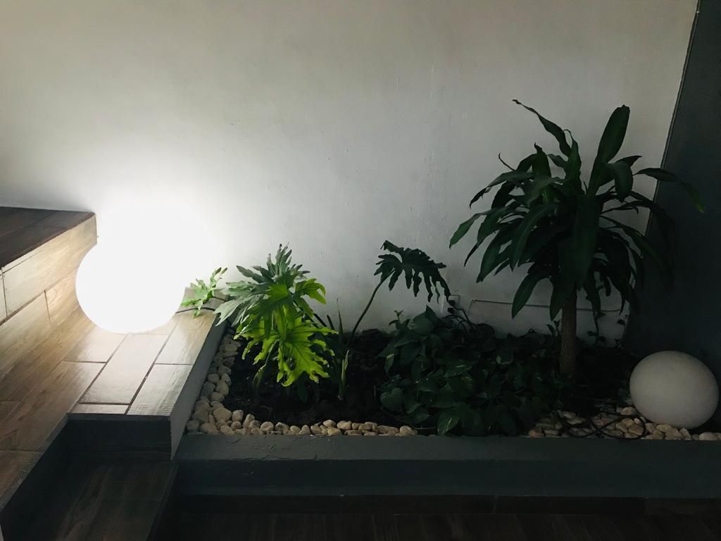 4 de 15