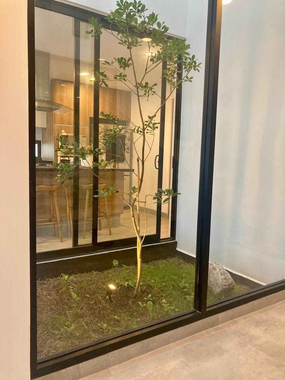 2 de 20: JARDIN INTERIOR