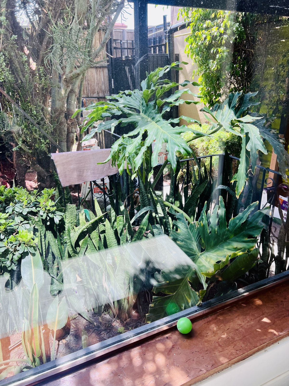 3 de 6