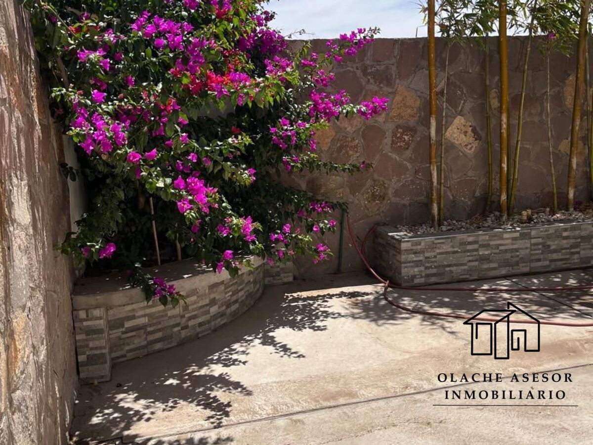 12 of 13: PATIO