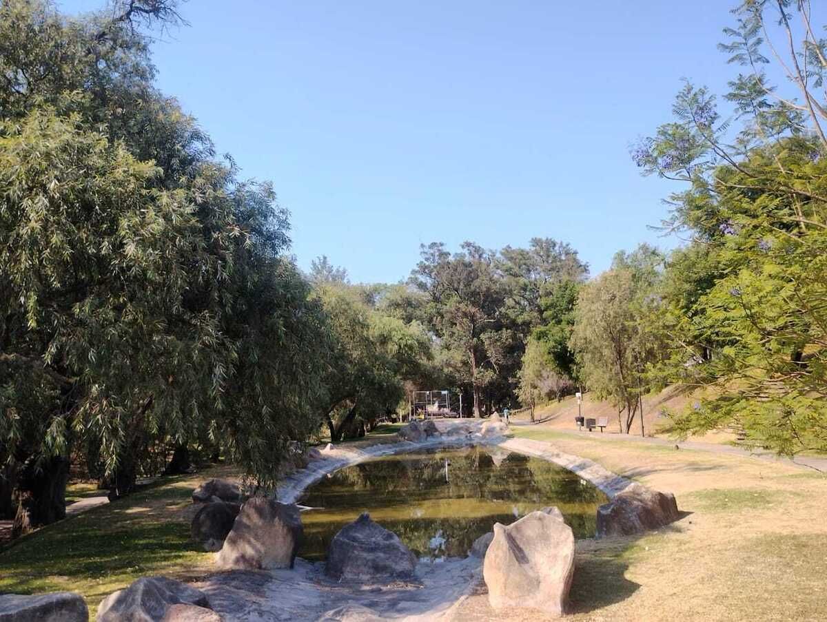 15 de 16