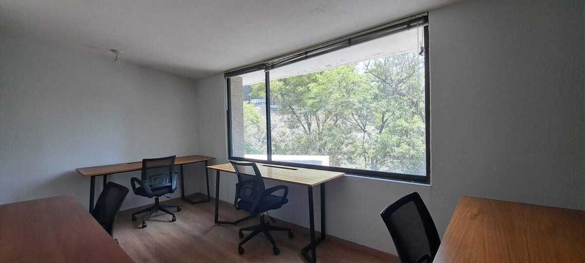 3 de 31