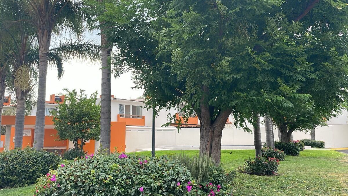 2 de 9