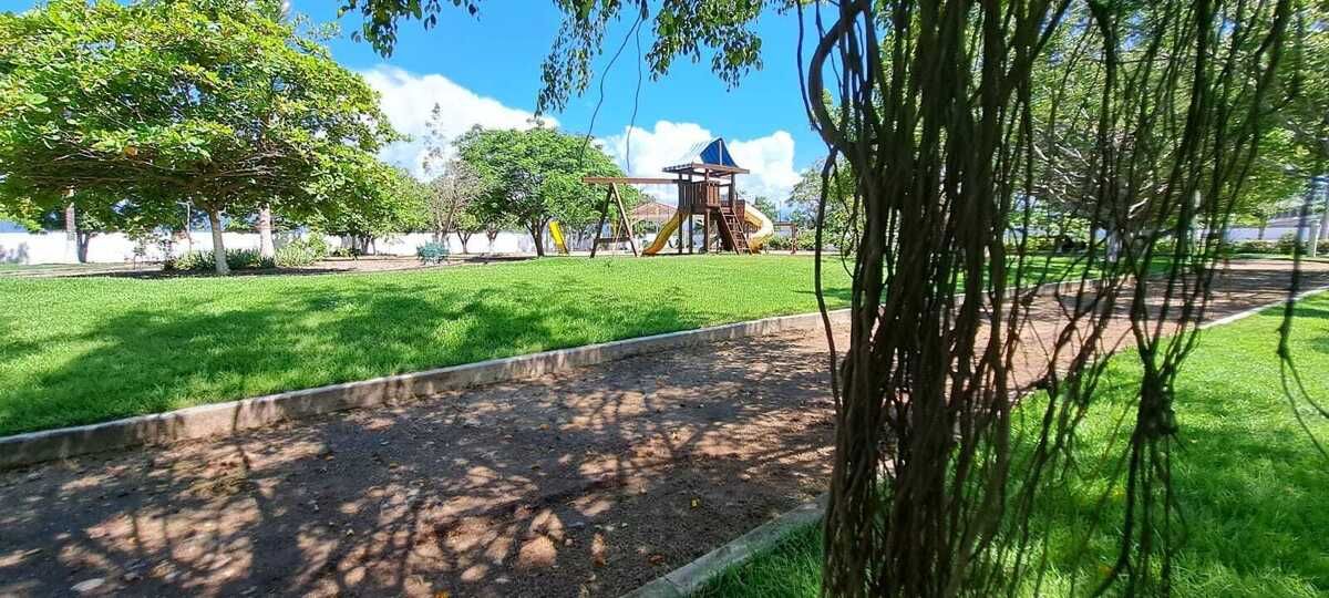 5 de 15
