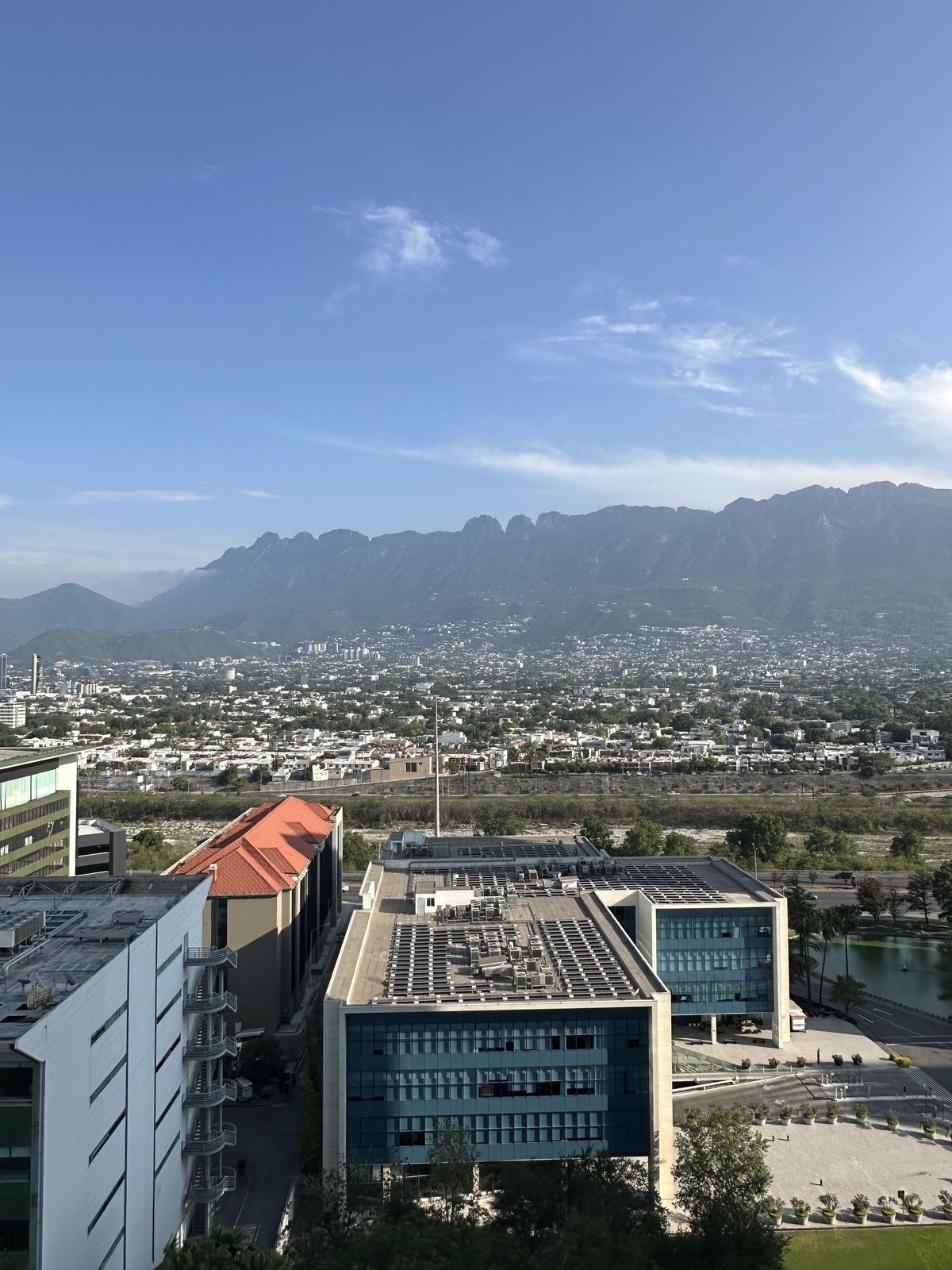 6 de 23