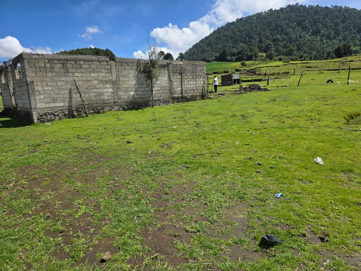 14 de 35