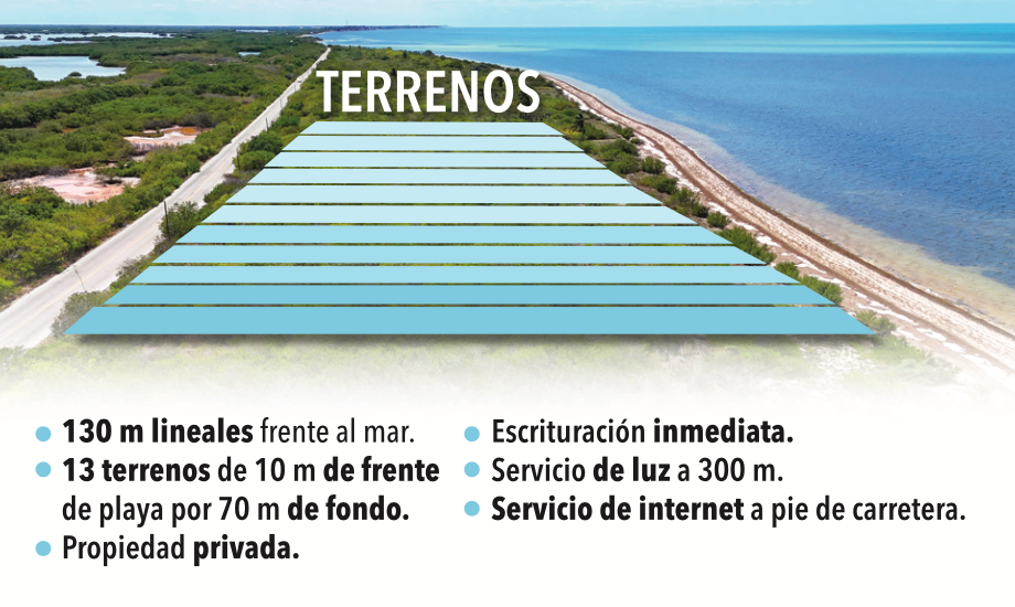 2 de 3