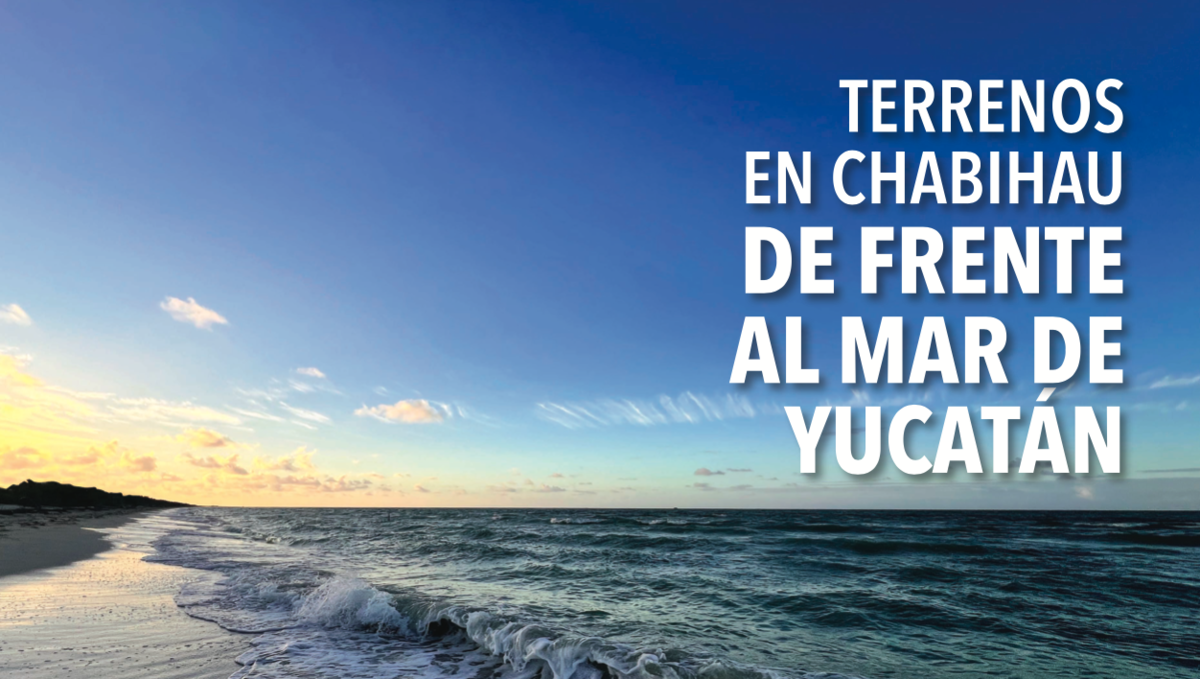 Imagen 1 de 3