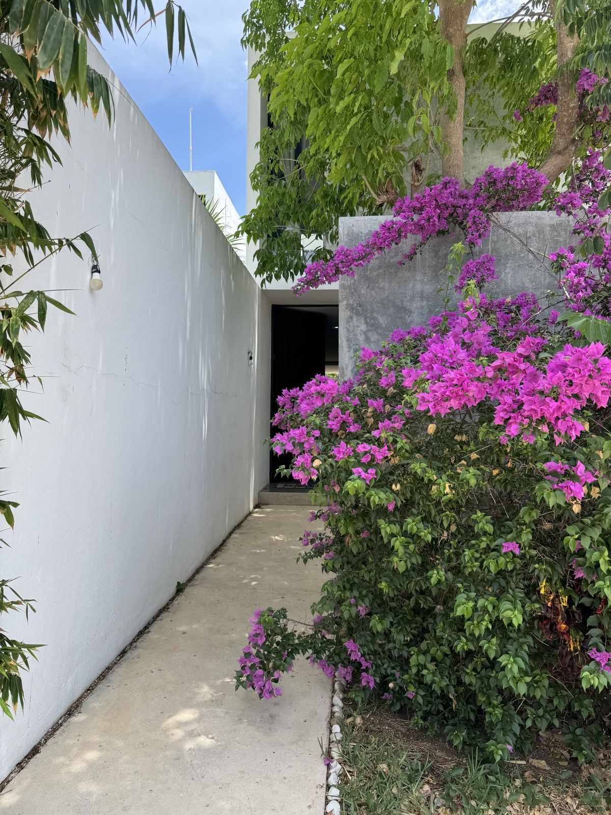 2 de 31