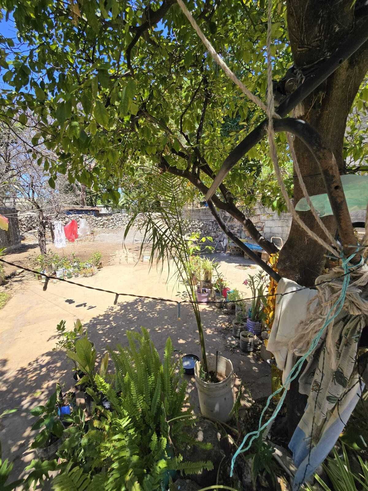 5 de 12