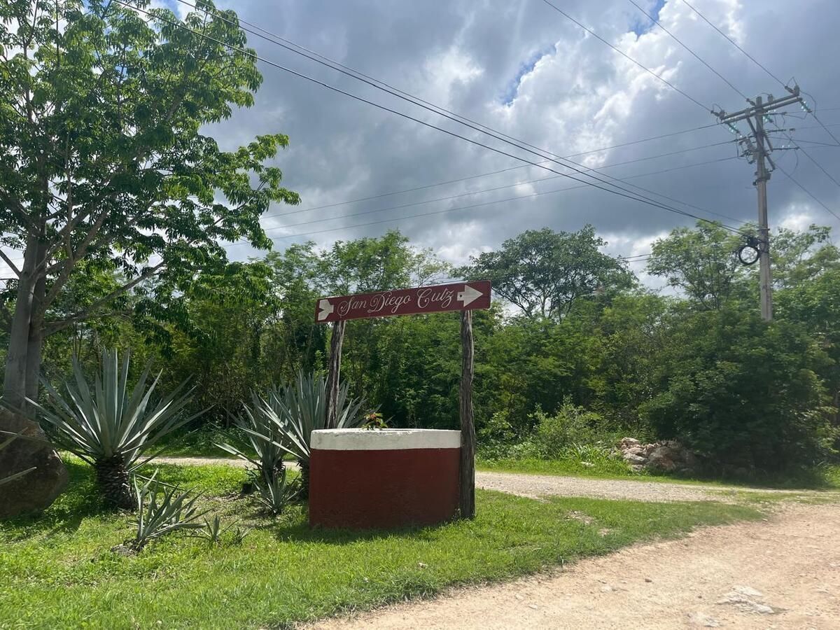4 de 14