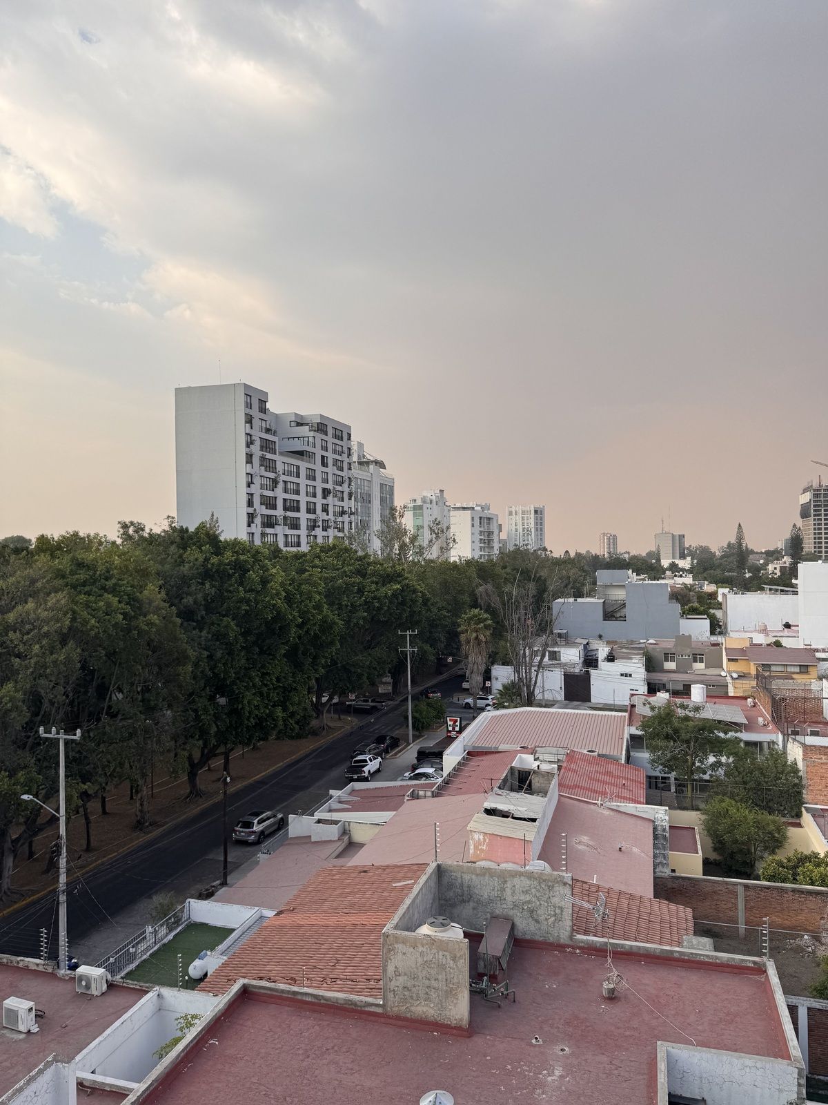 29 de 34