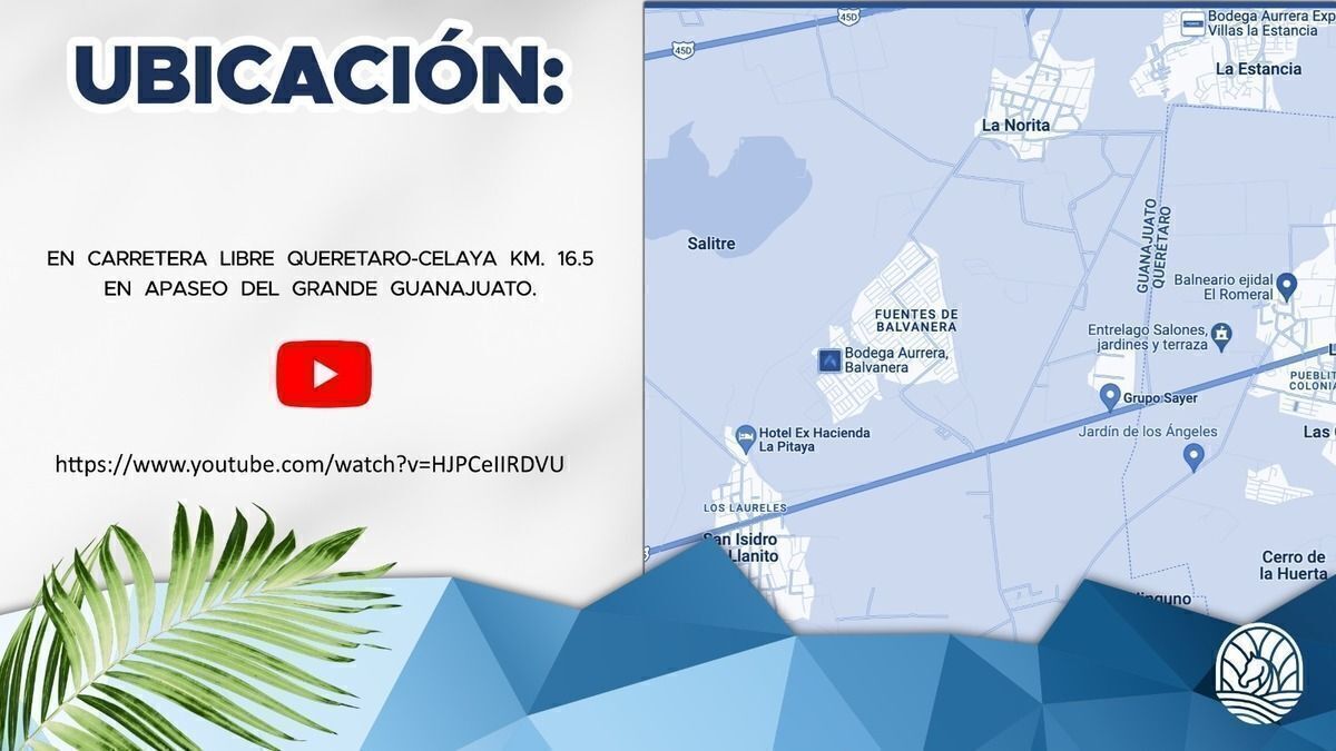5 de 16